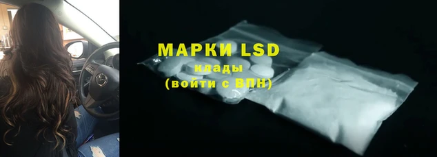 ПСИЛОЦИБИНОВЫЕ ГРИБЫ Волосово